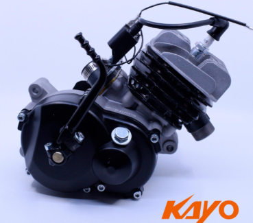 Motor für Dirtbike Kayo KT 50